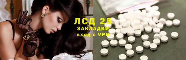 дживик Богданович