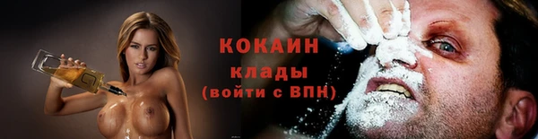 дживик Богданович