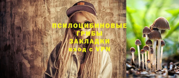 трава Богородицк