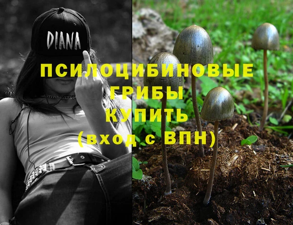 прущая мука Богородск