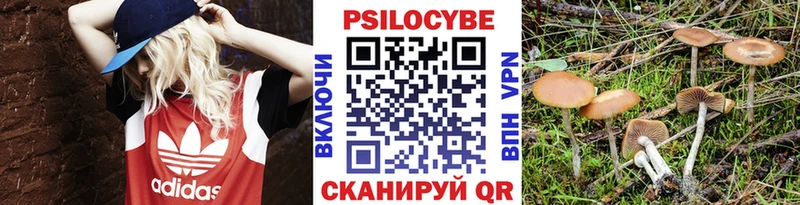 Псилоцибиновые грибы Psilocybine cubensis  Купить  Сланцы 