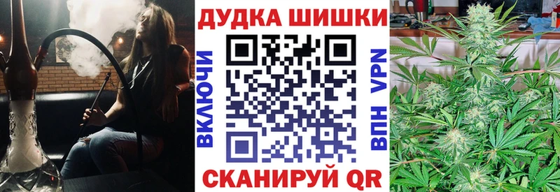 Канабис план  Купить где  Сланцы 
